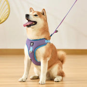 Pet Dog Harness Adjustable Breathable Doxrek